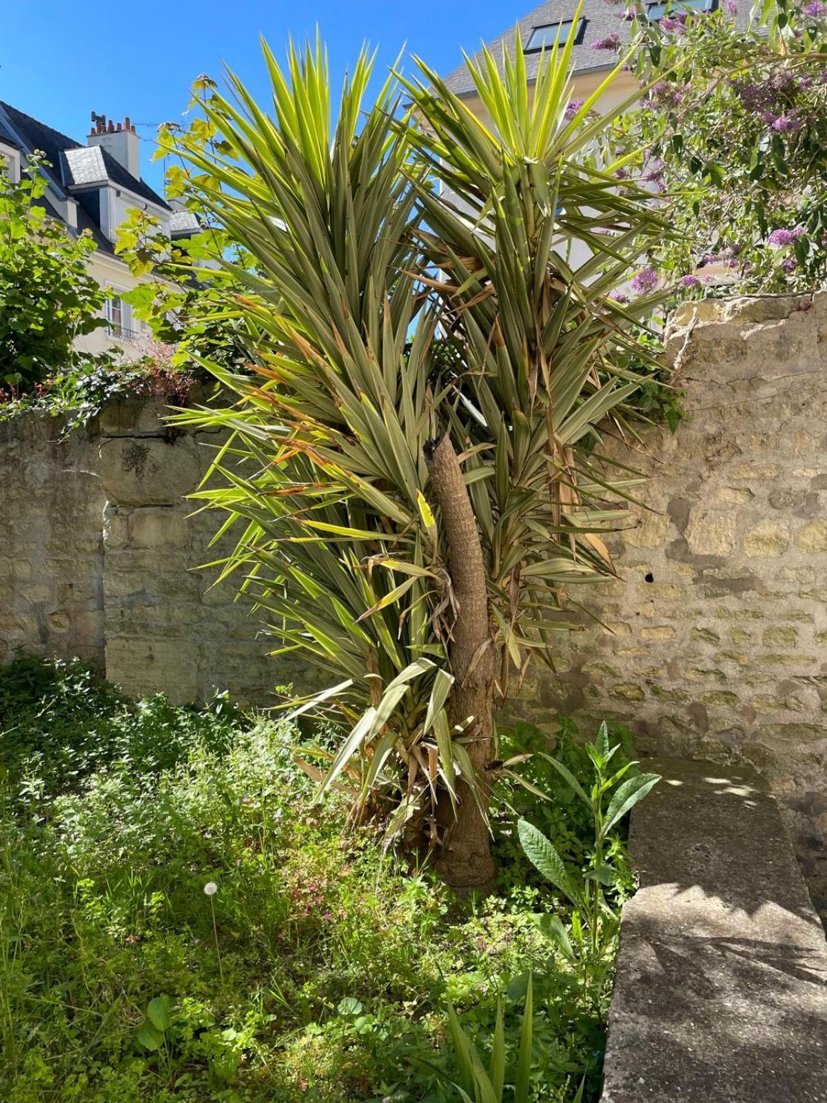 Le Nid D Abbaye Apartment Caen